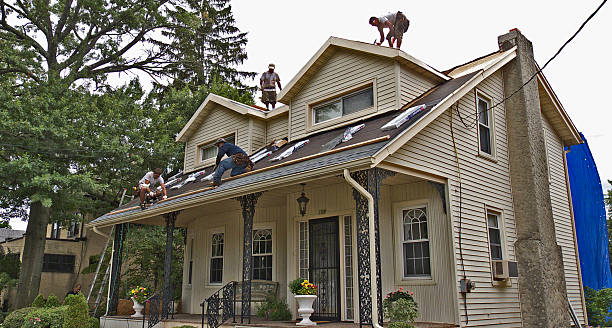 Best Flat Roof Repair Services  in Gregory, TX